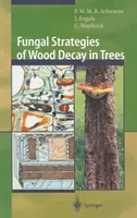 Grzybicze strategie rozkładu drewna w drzewach - Fungal Strategies of Wood Decay in Trees