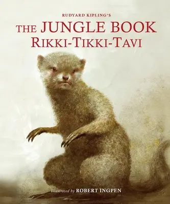 Księga dżungli: Rikki-Tikki-Tavi: Ilustrowana klasyka Roberta Ingpena - The Jungle Book: Rikki-Tikki-Tavi: A Robert Ingpen Illustrated Classic