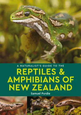 Przewodnik przyrodnika po gadach i płazach Nowej Zelandii - A Naturalist's Guide to the Reptiles & Amphibians of New Zealand