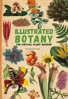 Ilustrowana botanika - wirtualne muzeum roślin - Illustrated Botany - The Virtual Plant Museum