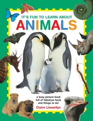 Nauka o zwierzętach to świetna zabawa: Pracowita książka obrazkowa pełna fantastycznych faktów i rzeczy do zrobienia! - It's Fun to Learn about Animals: A Busy Picture Book Full of Fabulous Facts and Things to Do!