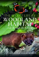 Sekretne życie leśnych siedlisk: Życie przez pory roku - The Secret Life of a Woodland Habitat: Life Through the Seasons
