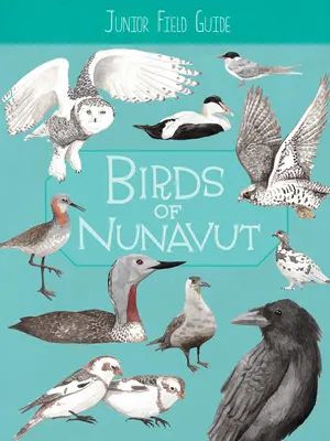 Junior Field Guide: Ptaki Nunavut: Wydanie angielskie - Junior Field Guide: Birds of Nunavut: English Edition