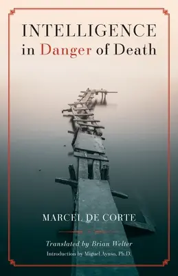 Inteligencja w niebezpieczeństwie śmierci (wydanie angielskie) - Intelligence in Danger of Death (English edition)