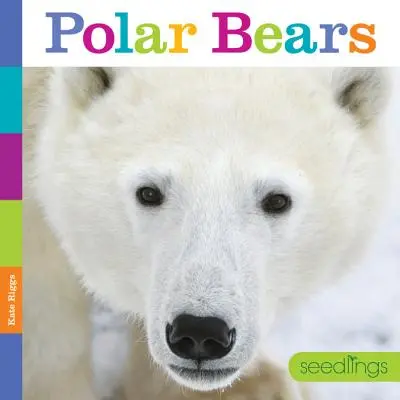 Sadzonki: Niedźwiedzie polarne - Seedlings: Polar Bears