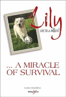 Lily: Jeden na milion: ... cud przetrwania - Lily: One in a Million: ... a Miracle of Survival