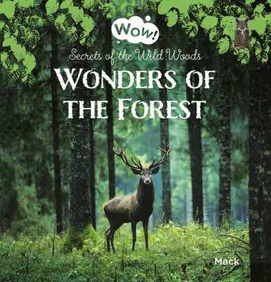 Cuda lasu. Sekrety dzikiego lasu - Wonders of the Forest. Secrets of the Wild Woods