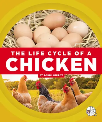 Cykl życia kurczaka - The Life Cycle of a Chicken