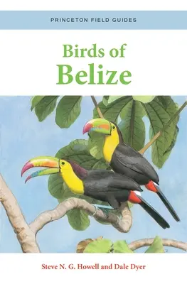 Ptaki Belize - Birds of Belize