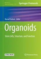 Organoidy: Komórki macierzyste, struktura i funkcja - Organoids: Stem Cells, Structure, and Function