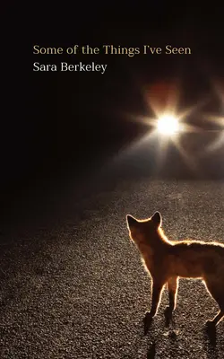 Niektóre z rzeczy, które widziałem - Some of the Things I've Seen