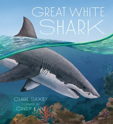 Żarłacz biały - Great White Shark