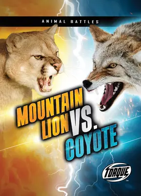 Lew górski kontra kojot - Mountain Lion vs. Coyote