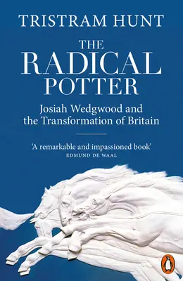 Radykalny garncarz - Josiah Wedgwood i transformacja Wielkiej Brytanii - Radical Potter - Josiah Wedgwood and the Transformation of Britain