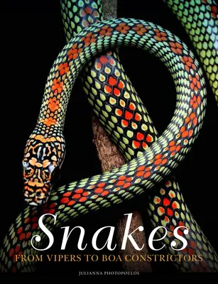 Węże: Od żmij do boa dusicieli - Snakes: From Vipers to Boa Constrictors