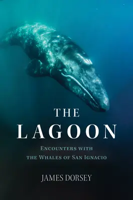 Laguna: Spotkania z wielorybami z San Ignacio - The Lagoon: Encounters with the Whales of San Ignacio