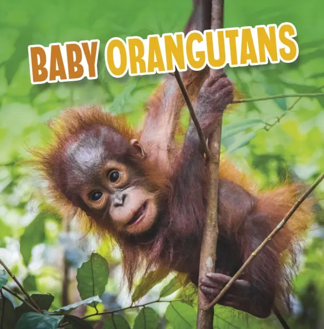 Małe orangutany - Baby Orangutans