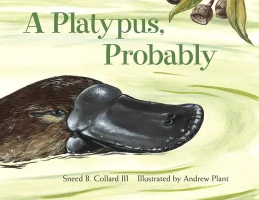 Prawdopodobnie dziobak - A Platypus, Probably