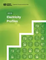 Profile energii elektrycznej 2019 - 2019 electricity profiles