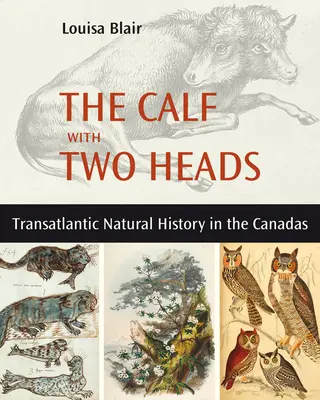 Cielę z dwiema głowami: Transatlantycka historia naturalna w Kanadzie - The Calf with Two Heads: Transatlantic Natural History in the Canadas