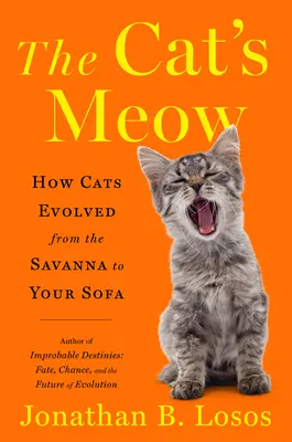 The Cat's Meow: Jak koty ewoluowały od sawanny do twojej sofy - The Cat's Meow: How Cats Evolved from the Savanna to Your Sofa