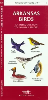 Nebraska Birds: Wprowadzenie do znanych gatunków - Nebraska Birds: An Introduction to Familiar Species