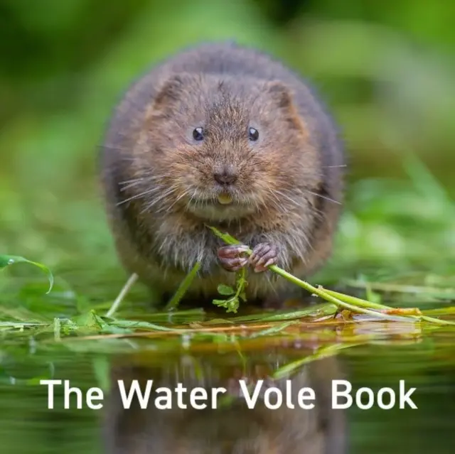 Księga nornika wodnego - Water Vole Book