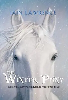 Zimowy kucyk - The Winter Pony