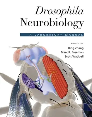 Neurobiologia Drosophila: Podręcznik laboratoryjny - Drosophila Neurobiology: A Laboratory Manual