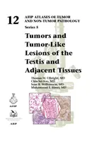 Nowotwory i zmiany nowotworowe jąder i tkanek przyległych - Tumors and Tumor-Like Lesions of the Testis and Adjacent Tissues