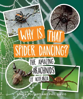 Dlaczego ten pająk tańczy? Niesamowite pajęczaki z Aotearoa - Why Is That Spider Dancing?: The Amazing Arachnids of Aotearoa