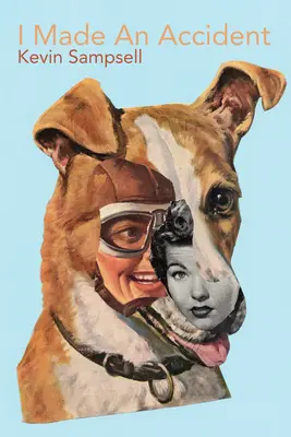 Spowodowałem wypadek - I Made an Accident