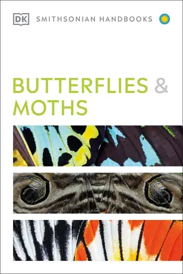 Motyle i ćmy - Butterflies and Moths