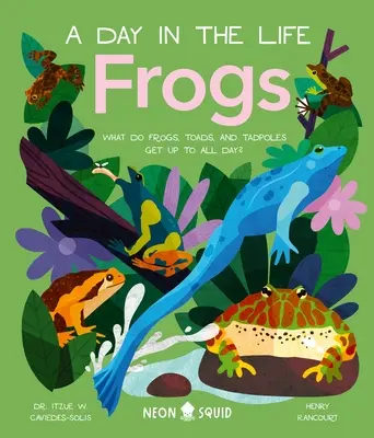 Żaby (dzień z życia): Co żaby, ropuchy i kijanki robią przez cały dzień? - Frogs (a Day in the Life): What Do Frogs, Toads, and Tadpoles Get Up to All Day?