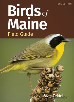 Przewodnik terenowy po ptakach Maine - Birds of Maine Field Guide