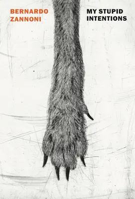 Moje głupie intencje - My Stupid Intentions