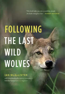 Podążając za ostatnimi dzikimi wilkami - Following the Last Wild Wolves