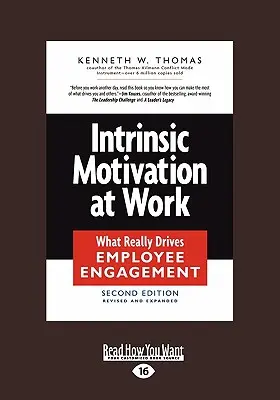 Motywacja wewnętrzna w pracy: Co naprawdę napędza zaangażowanie pracowników (Large Print 16pt) - Intrinsic Motivation at Work: What Really Drives Employee Engagement (Large Print 16pt)