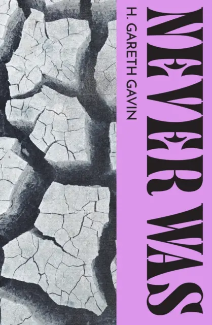 Nigdy nie było - Never Was