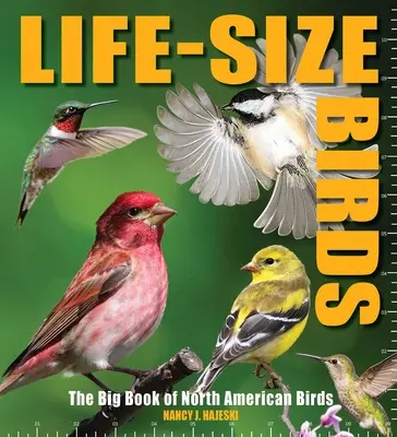 Ptaki naturalnej wielkości: Wielka księga ptaków Ameryki Północnej - Life-Size Birds: The Big Book of North American Birds