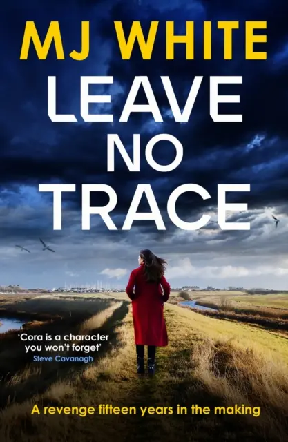 Leave No Trace - trzymająca w napięciu, pełna zwrotów akcji powieść detektywistyczna - Leave No Trace - A suspenseful, twisty detective novel