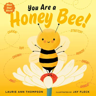 Jesteś pszczołą miodną! - You Are a Honey Bee!