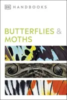 Motyle i ćmy - Butterflies and Moths