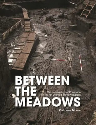 Między łąkami: Archeologia Edercloon na obwodnicy N4 Dromod-Roosky - Between the Meadows: The Archaeology of Edercloon on the N4 Dromod-Roosky Bypass