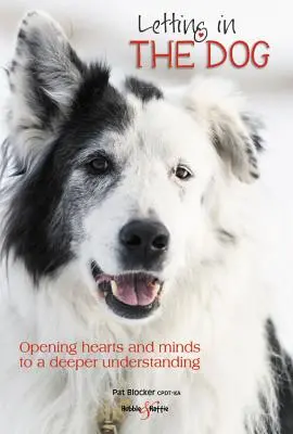 Wpuszczanie psa - Otwieranie serc i umysłów na głębsze zrozumienie - Letting in the dog - Opening hearts and minds to a deeper understanding