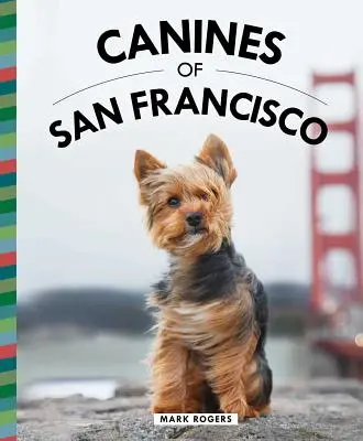 Psy z San Francisco - Canines of San Francisco