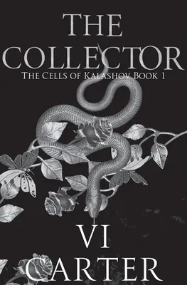 The Collector: Mroczny romans Bratvy - The Collector: Dark Bratva Romance