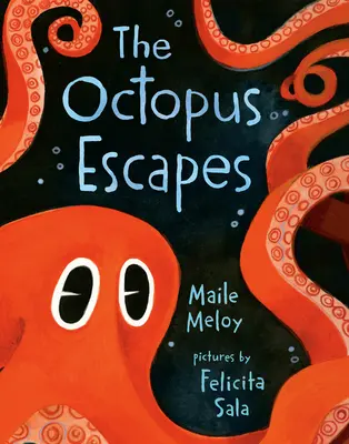 Ośmiornica ucieka - The Octopus Escapes