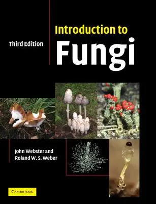 Wprowadzenie do grzybów - Introduction to Fungi