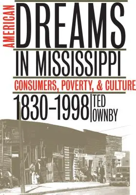 Amerykańskie marzenia w Mississippi: Konsumenci, ubóstwo i kultura, 1830-1998 - American Dreams in Mississippi: Consumers, Poverty, and Culture, 1830-1998